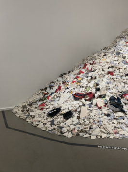 EMELINE LE BLEVENNEC