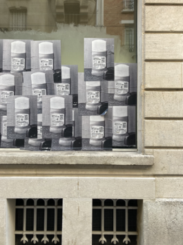 EMELINE LE BLEVENNEC