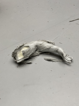 EMELINE LE BLEVENNEC