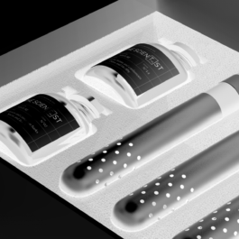 EMELINE LE BLEVENNEC