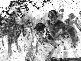 EMELINE LE BLEVENNEC