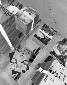 EMELINE LE BLEVENNEC